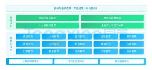 2024熱門中大型企業(yè)hr系統(tǒng) 國內ehr廠商推薦